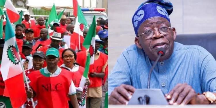 Nigeria Workers vs President Bola Tinubu